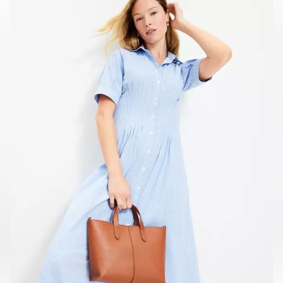 LOFT Dresses & Skirts - LOFT Striped Poplin Pleated Bodice Shirt Dress Blue White Stripe NWT Plus Sz 18